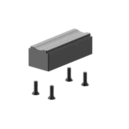 XYLO Forward Internal Weight with hardware